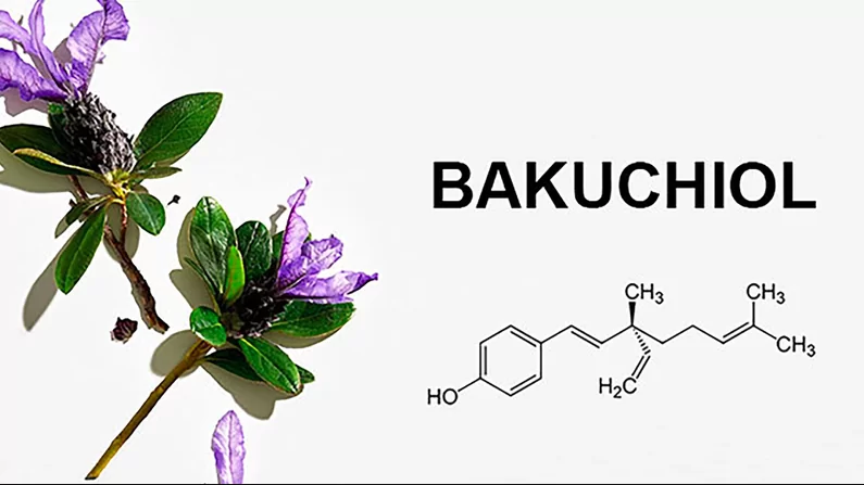 Bakuchiol Eye Cream: A Gentle Retinol Alternative for Radiant Eyes